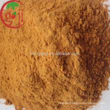 Factory Supply High Quality Goji Berry Extract